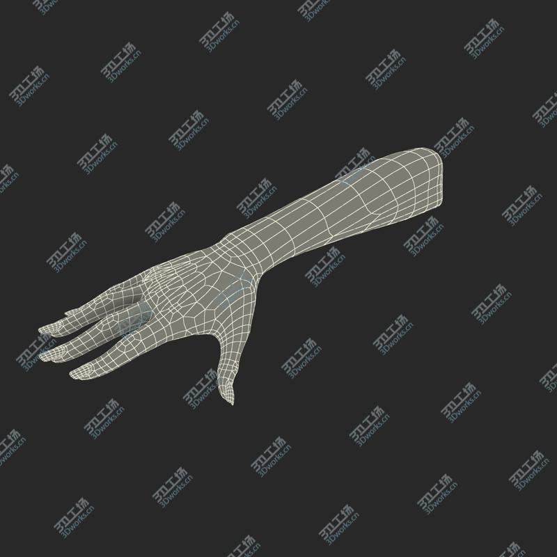 images/goods_img/202105073/Female Hand Rigged for Maya/4.jpg